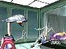lag027.jpg